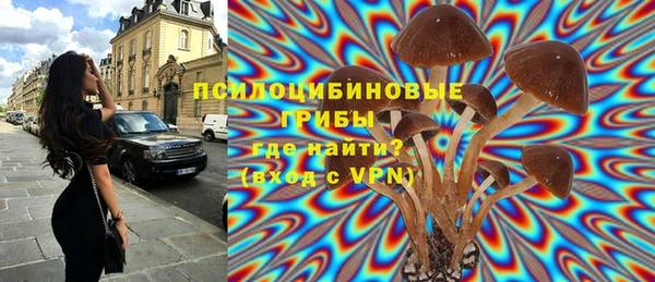 соль курить ск Алексеевка